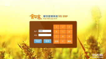 食如意餐饮管理系统 湖南餐饮业的智能管理解决方案